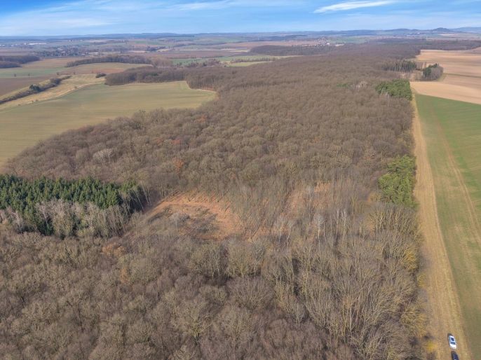 Prodej, Les, Slatiny