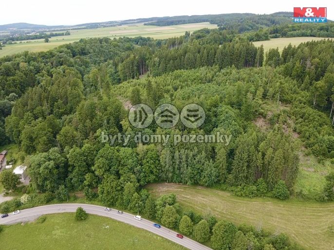 Prodej, Les, Ústí nad Orlicí