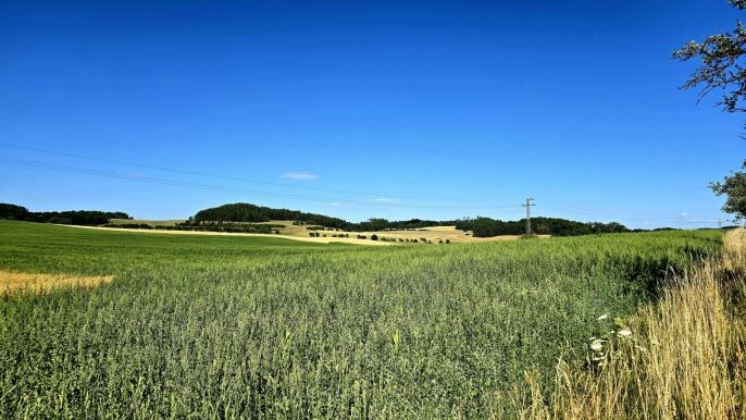 Prodej, Pole, Horažďovice
