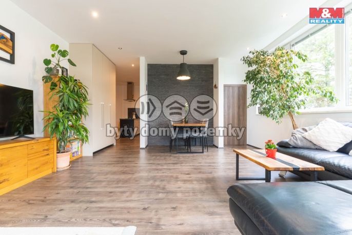 Prodej, Byt 2+kk, 75 m², Olomouc, Wellnerova