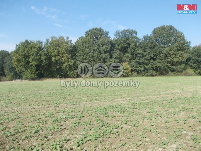 Prodej, Les, Ostrava