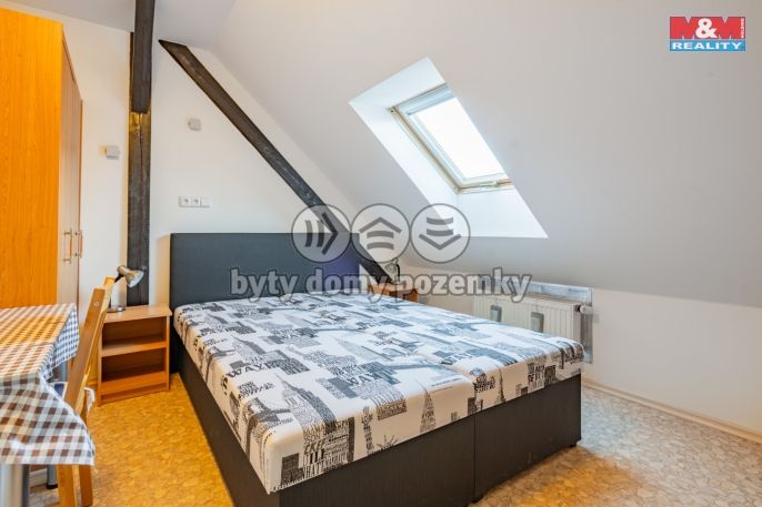 Prodej, Hotel, penzion, Třeboň