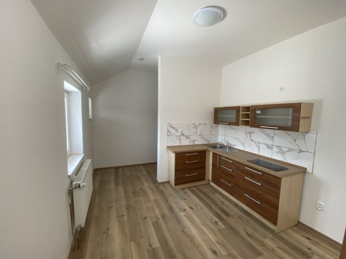 Pronájem, Byt 1+1, Těšany