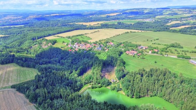 Prodej, Les, Ohnišov