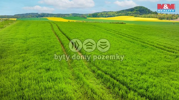 Prodej, Pozemek k bydlení, Tachov