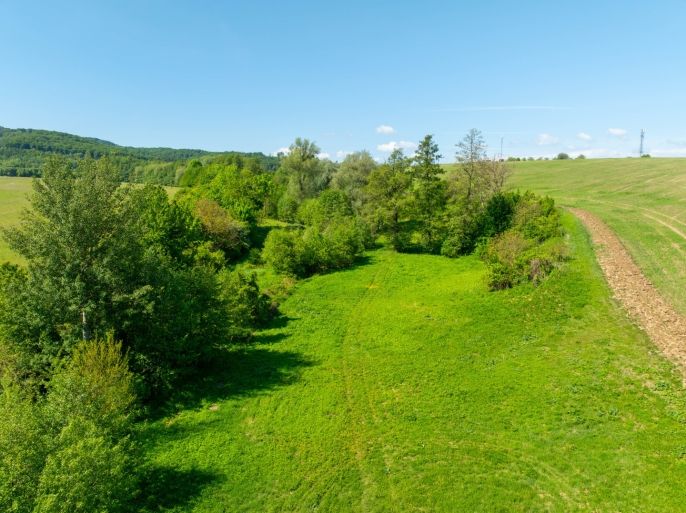 Prodej, Louka, Roštín