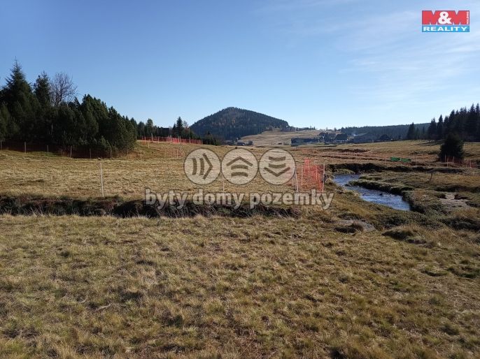 Prodej, Louka, Kořenov