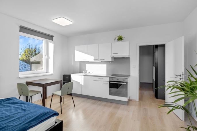 Pronájem, Byt 1+kk, Horoměřice