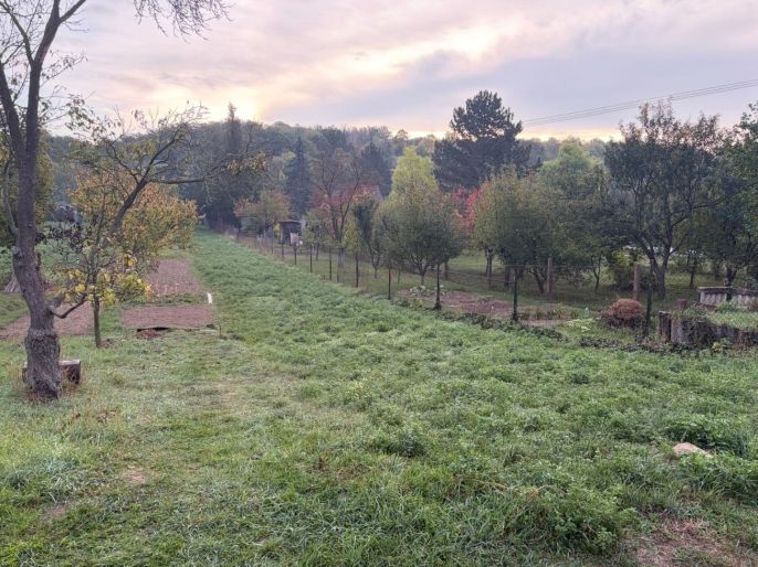 Prodej, Zahrada, Šlapanice