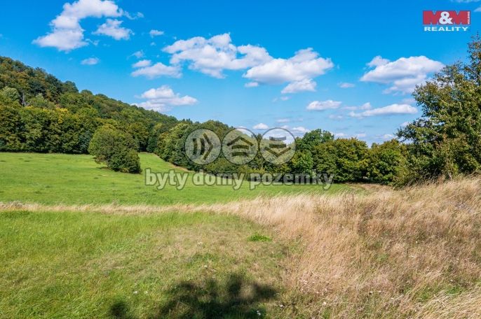 Prodej, Louka, 11426 m², Děčín