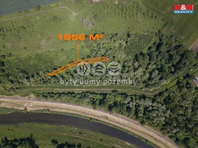 Prodej, Les, Karviná