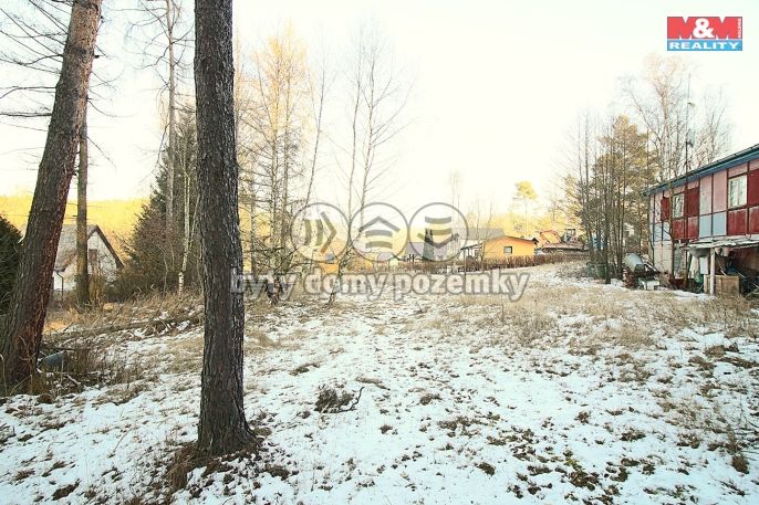 Prodej, Hotel, penzion, Týn nad Vltavou