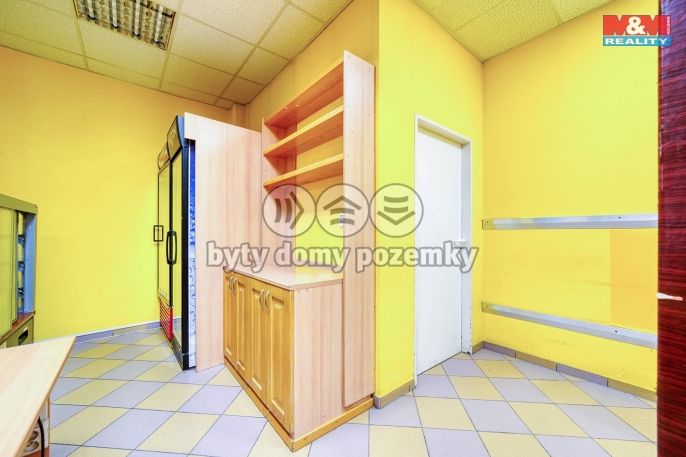 Pronájem, Obchodní objekt, Třemošná