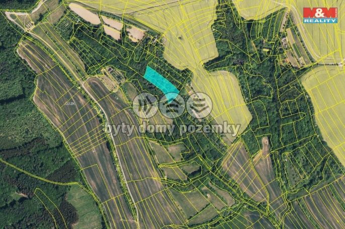 Prodej, Les, Traplice