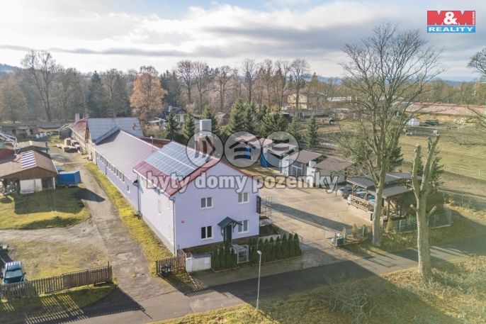 Prodej, Obchodní objekt, Stružná