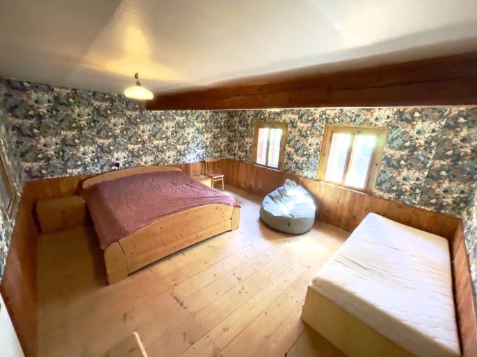 Prodej, Chalupa, Borotín