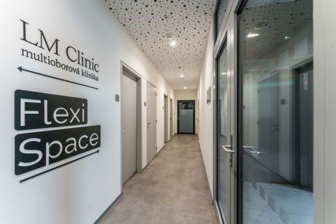 Pronájem, Ostatní, Praha