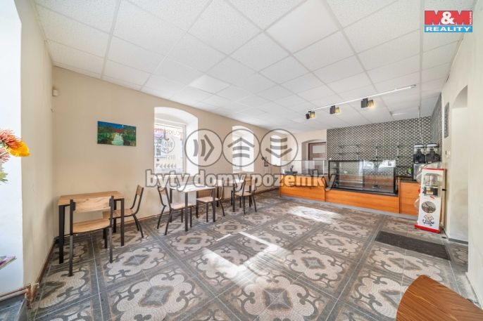 Pronájem, Restaurace, stravování, Nepomuk