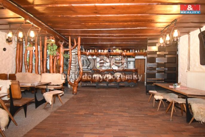 Prodej, Hotel, penzion, Bílá