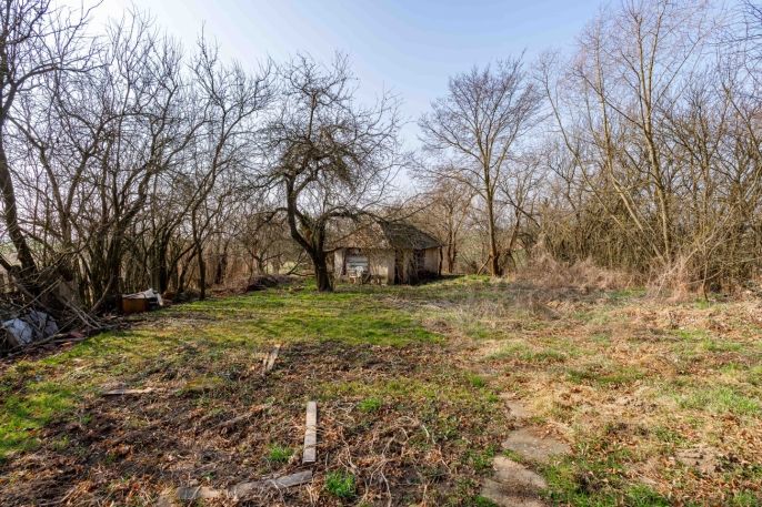 Prodej, Rodinný dům, Dešná