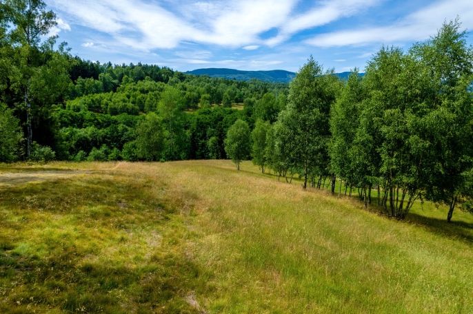 Prodej, Ostatní, Dlouhý Most