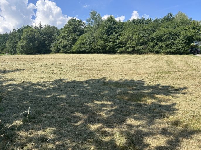 Prodej, Pozemek k bydlení, Zbraslavice