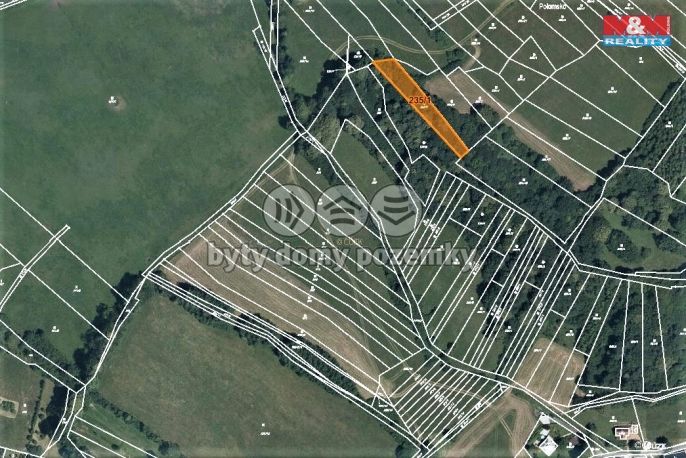 Prodej, Les, Rajnochovice