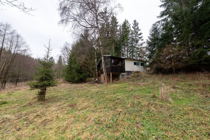 Prodej, Chata, Bory