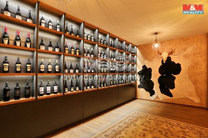 Pronájem, Restaurace, stravování, Olomouc