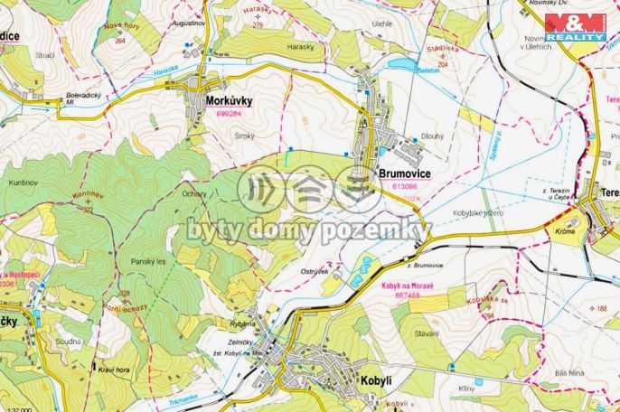 Prodej, Vinice, Brumovice