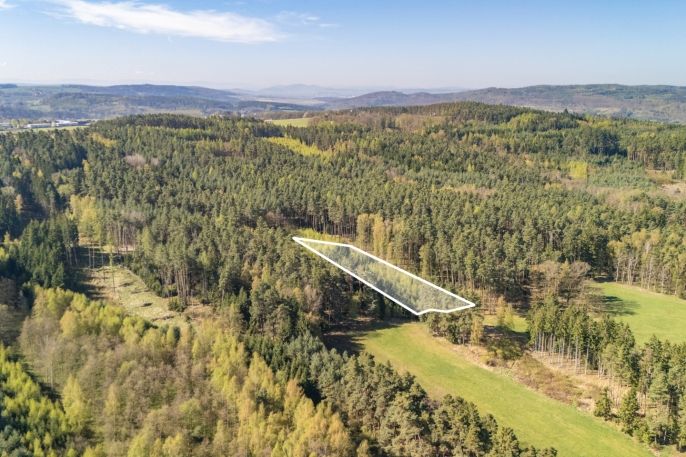 Prodej, Les, Losiná