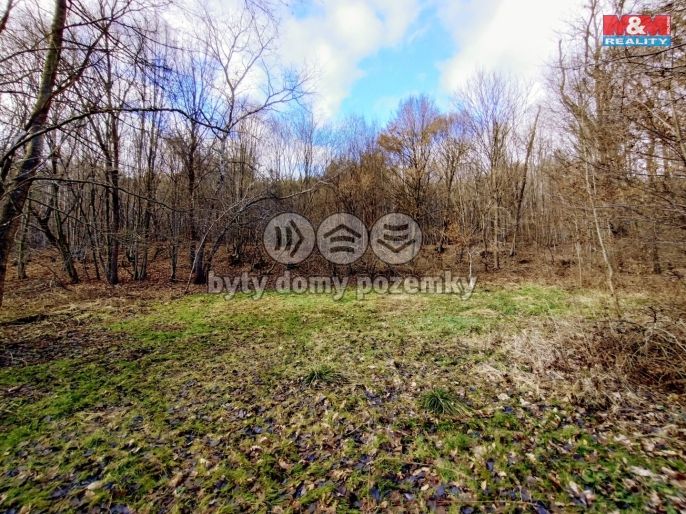 Pronájem, Louka, Slatina