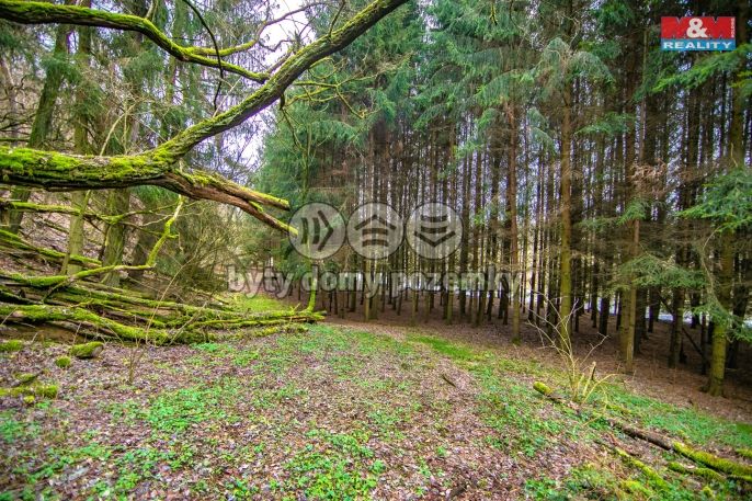 Prodej, Les, Zruč-Senec