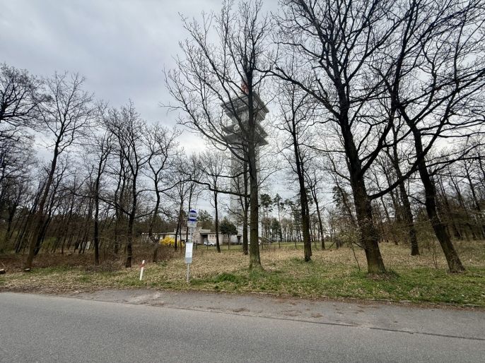 Prodej, Les, Býšť