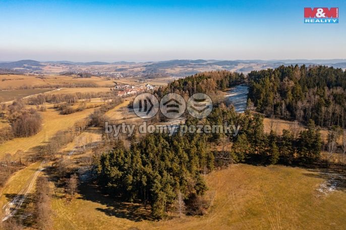 Prodej, Les, Nišovice