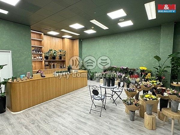 Pronájem, Obchod a služby, Brno