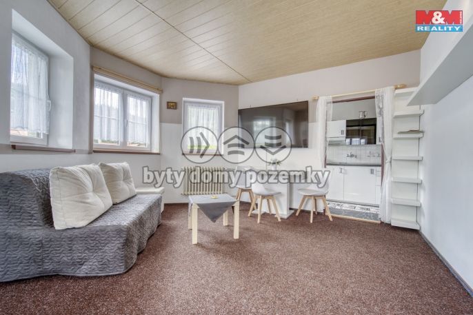 Prodej, Hotel, penzion, Železná Ruda