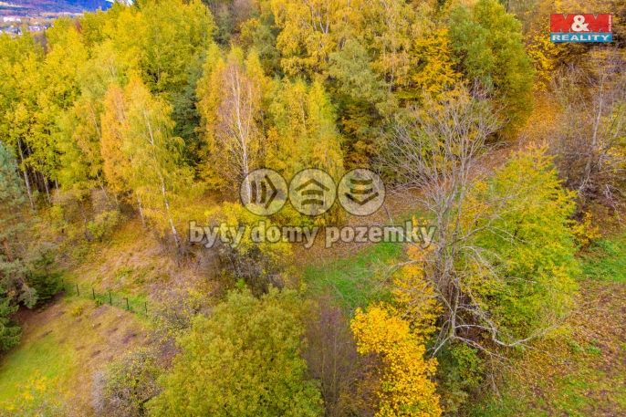 Prodej, Les, Skalice u České Lípy