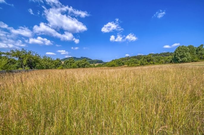Pronájem, Pozemek k bydlení, Kokašice