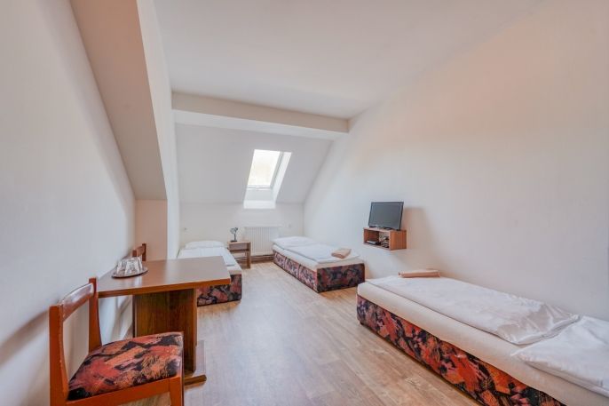 Prodej, Hotel, penzion, Liblín