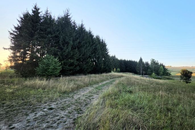 Prodej, Zahrada, Bělá nad Radbuzou