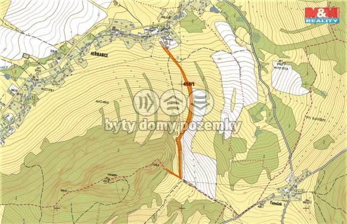 Prodej, Les, Žandov