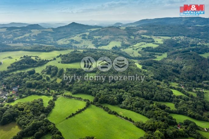 Prodej, Les, Homole u Panny