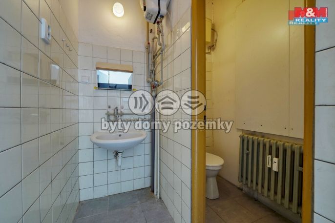 Pronájem, Obchod a služby, Třemošná