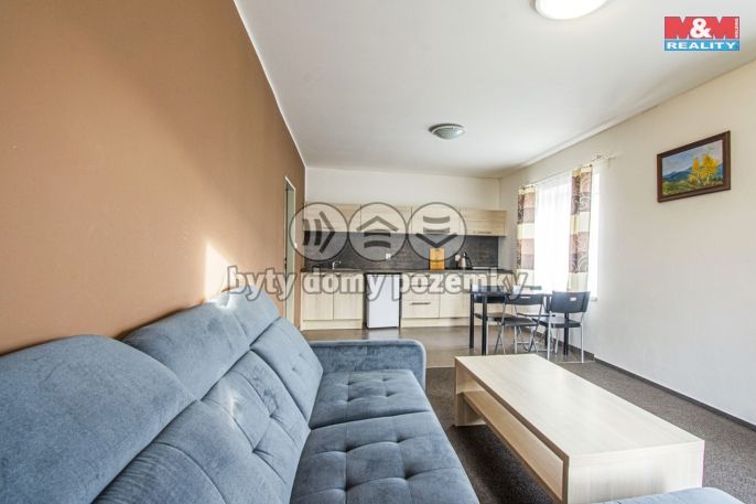 Prodej, Hotel, penzion, Slezské Rudoltice