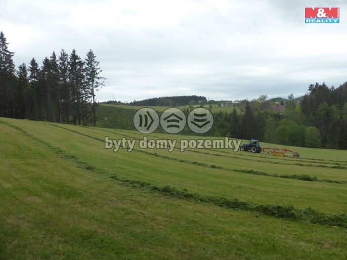 Prodej, Les, Vysoká Srbská