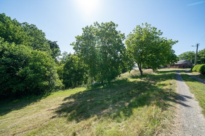 Prodej, Rodinný dům, Kosov