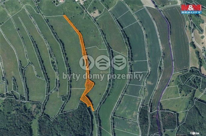 Prodej, Les, Žandov