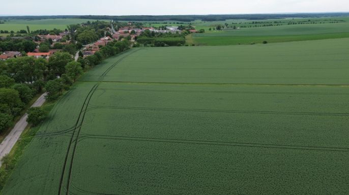 Prodej, Pole, Záhornice