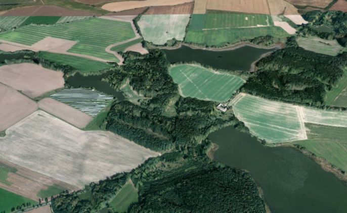 Prodej, Les, Dírná